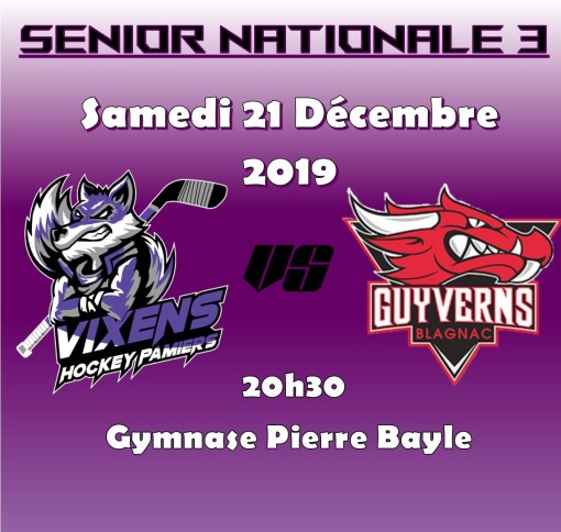 Nationale 3 Vixens pamiers face à Blagnac