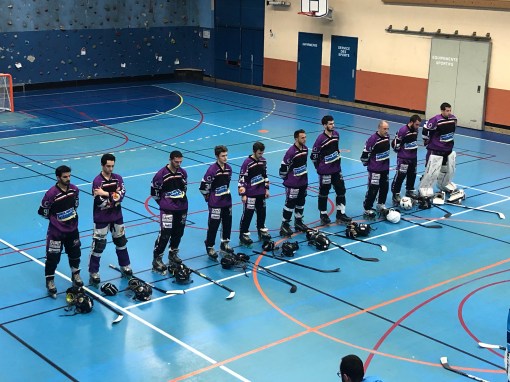 Vixens Pamiers - Chiens fous Colomiers